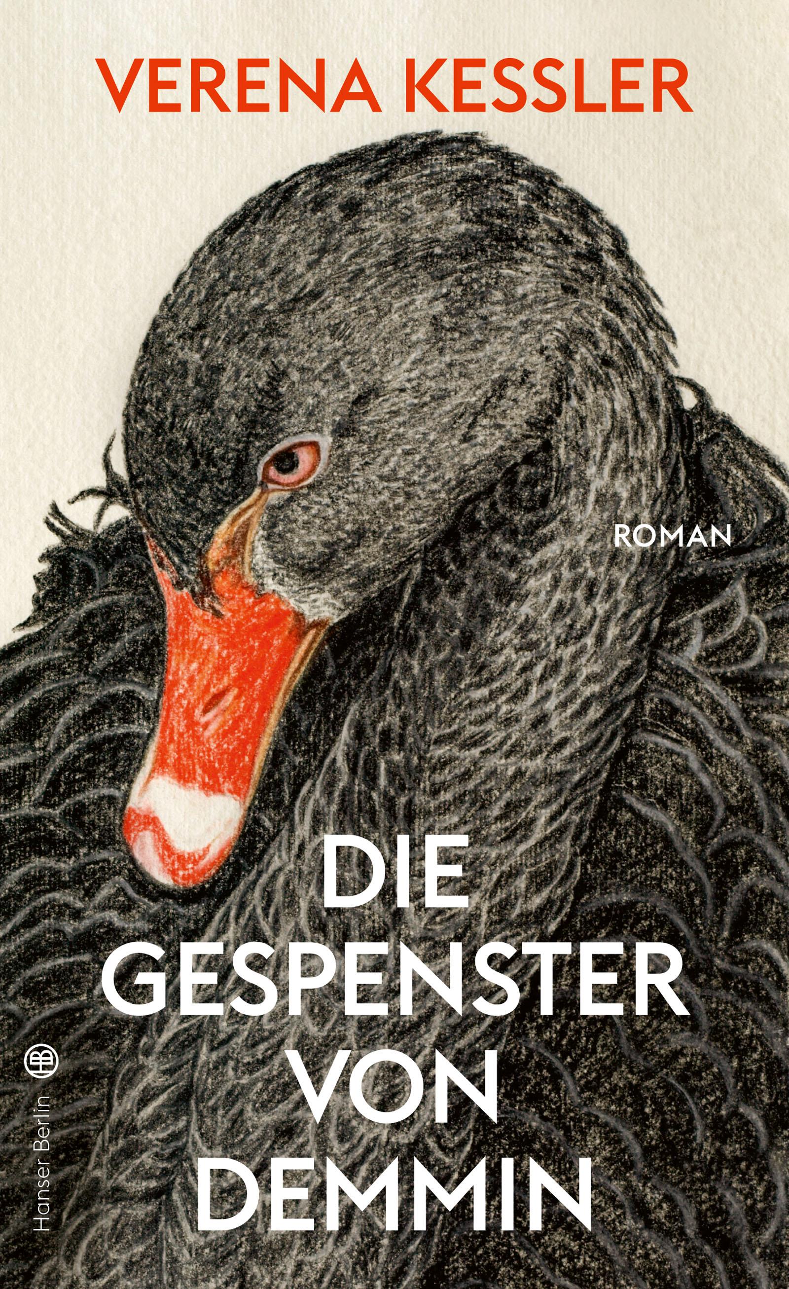 Vorderes Coverbild Die Gespenster von Demmin