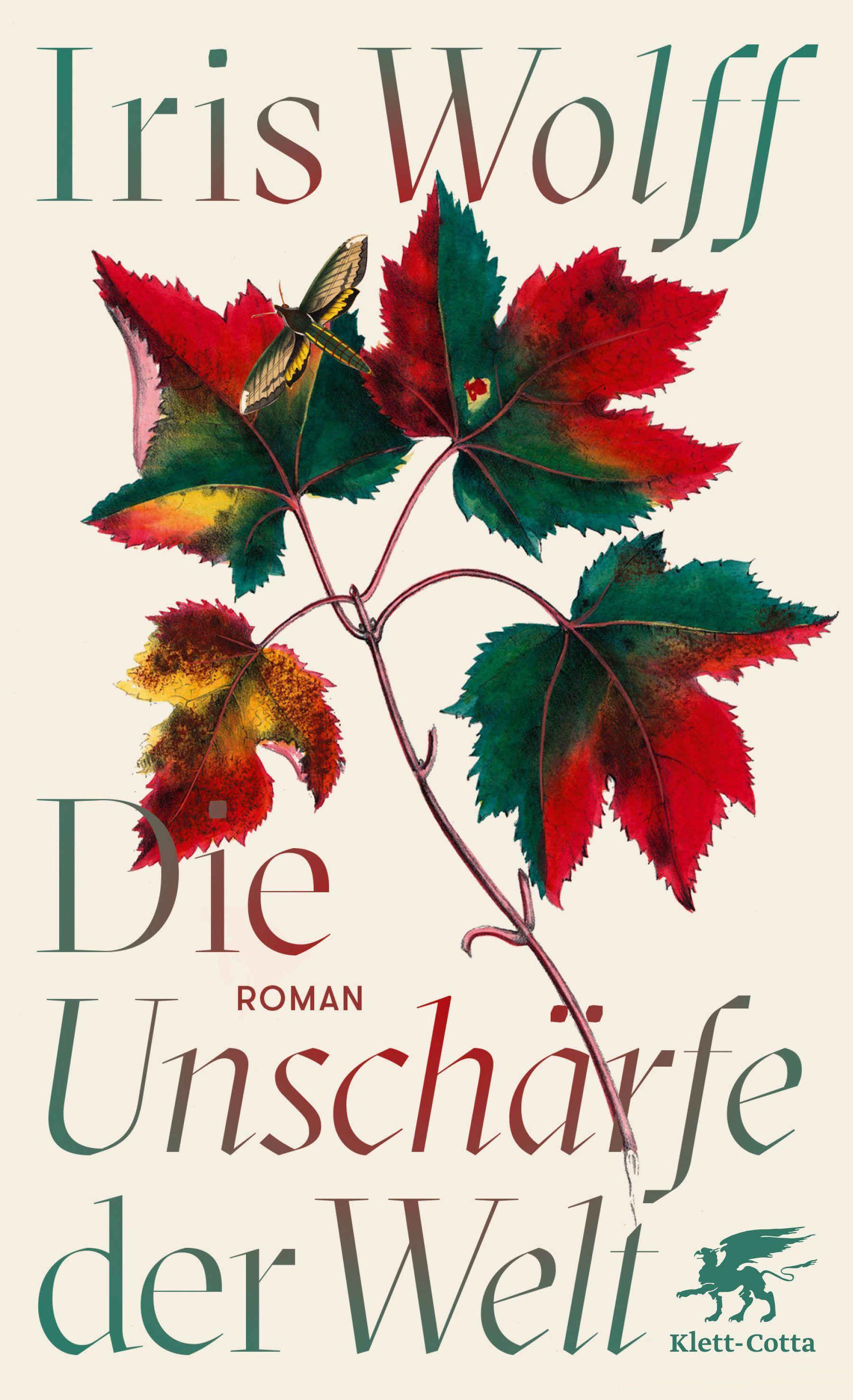 Vorderes Coverbild Die Unschärfe der Welt