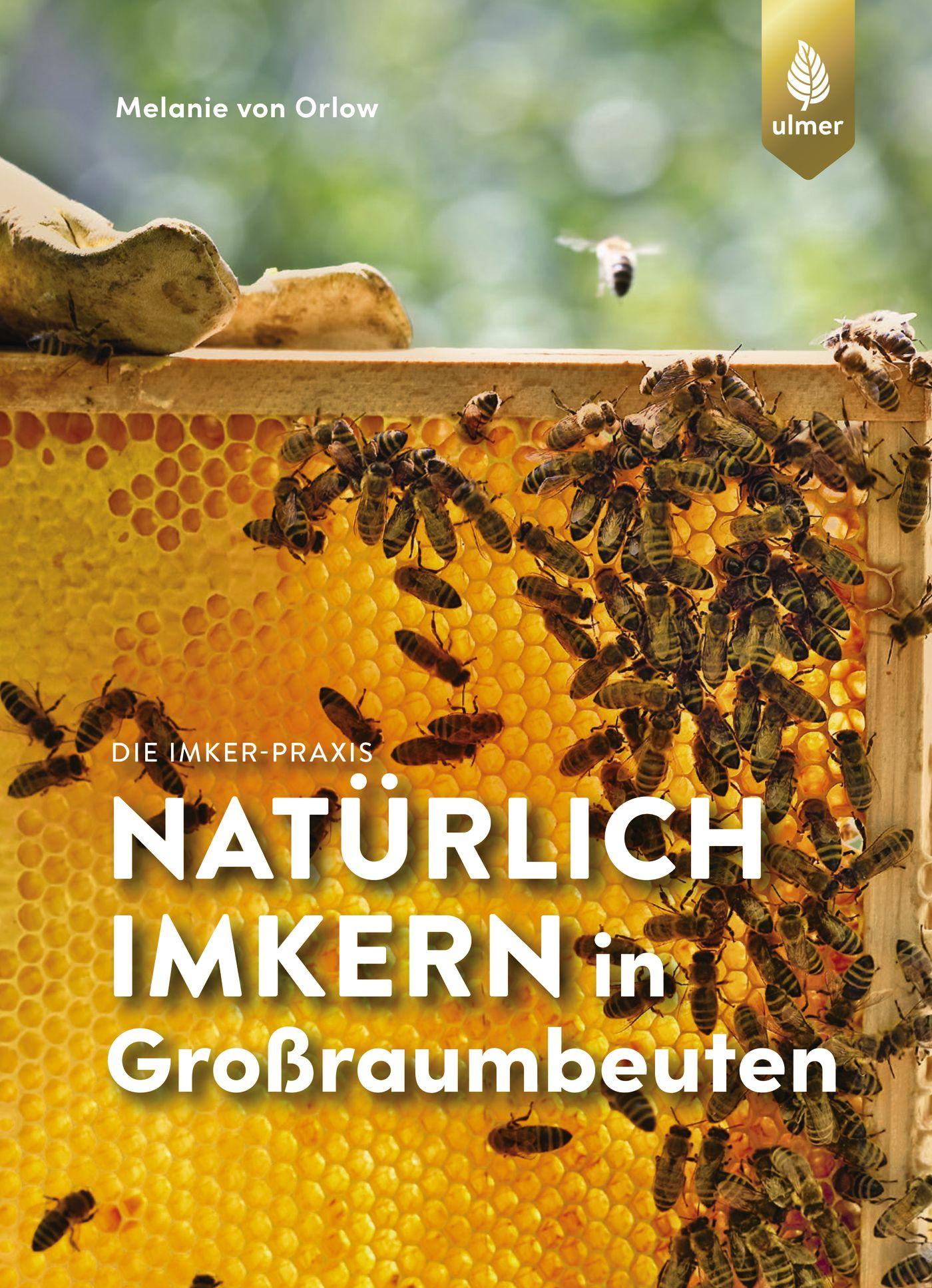 Vorderes Coverbild Natürlich imkern in Großraumbeuten