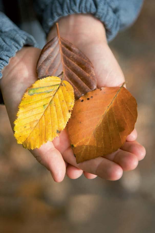 Beispielinhalt (Bild) Für immer anders