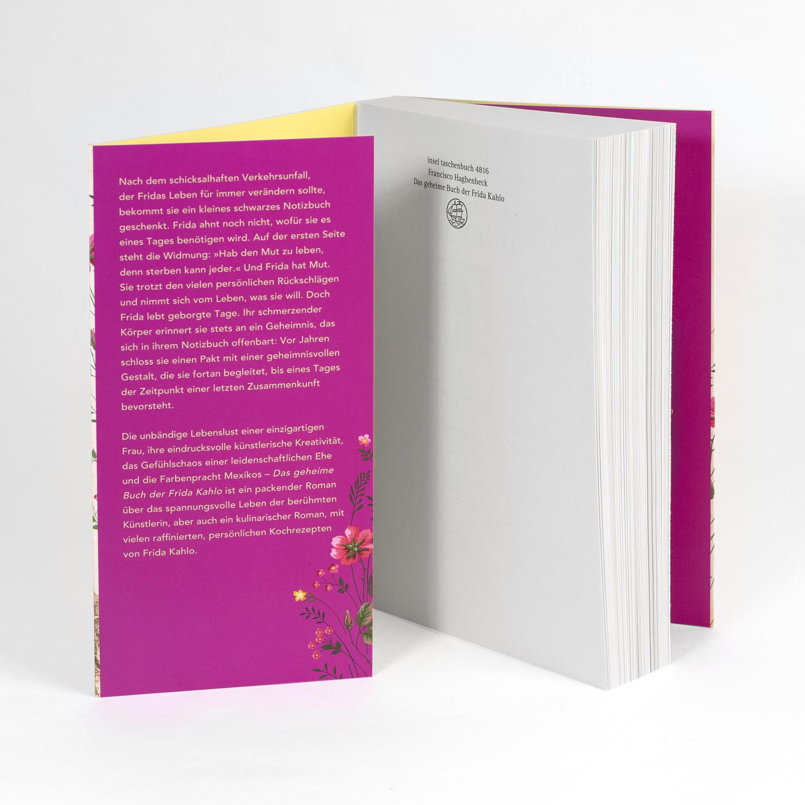 Beispielinhalt (Bild) Das geheime Buch der Frida Kahlo