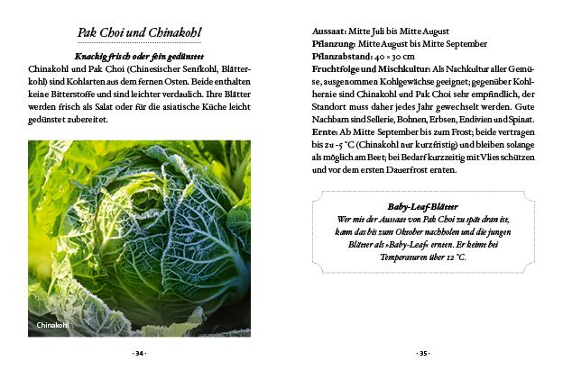 Beispielinhalt (Bild) Das kleine Buch: Wintergemüse