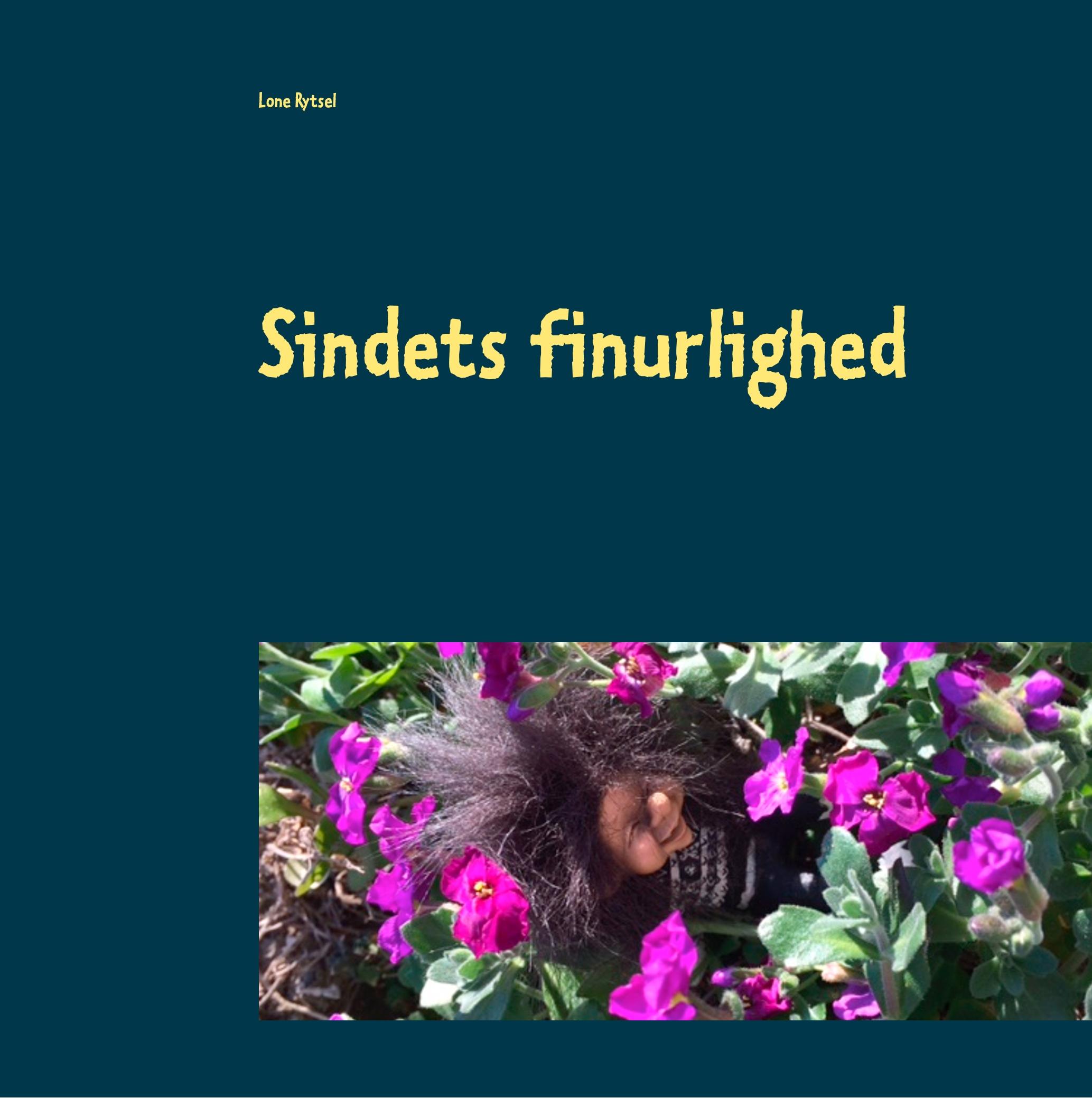Vorderes Coverbild Sindets finurlighed