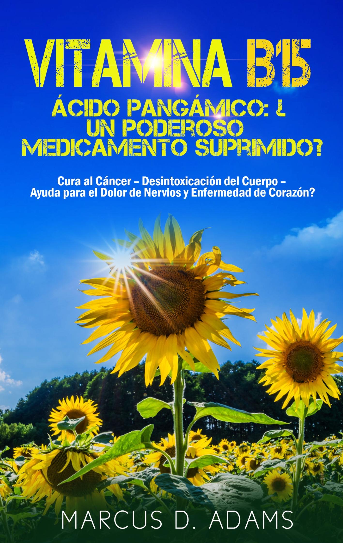 Vorderes Coverbild Vitamina B15 - Ácido Pangámico: ¿Un poderoso medicamento suprimido?