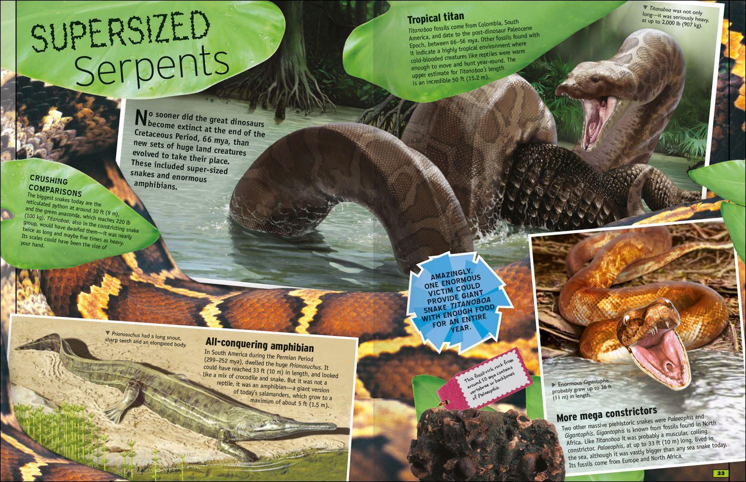 Beispielinhalt (Bild) The Animal Book