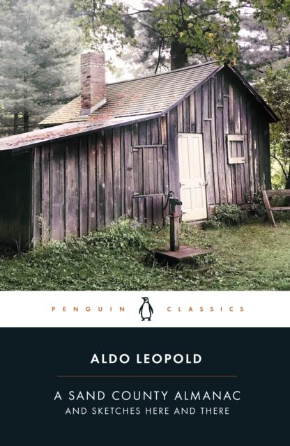 Vorderes Coverbild A Sand County Almanac