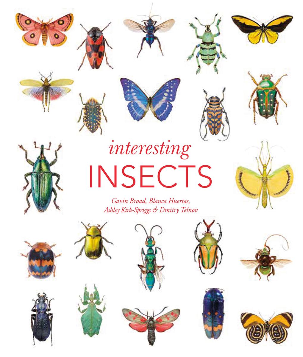Vorderes Coverbild Interesting Insects