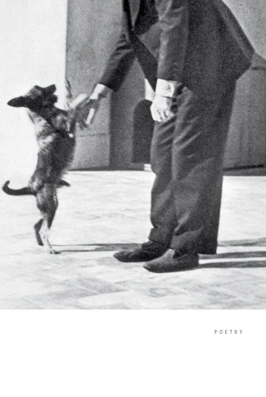 Rückseitencover Montale