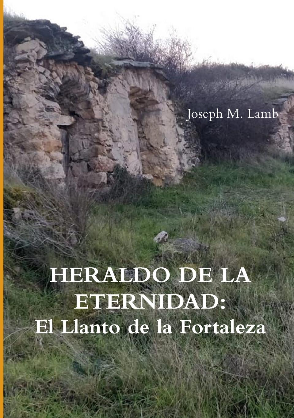 Vorderes Coverbild HERALDO DE LA ETERNIDAD