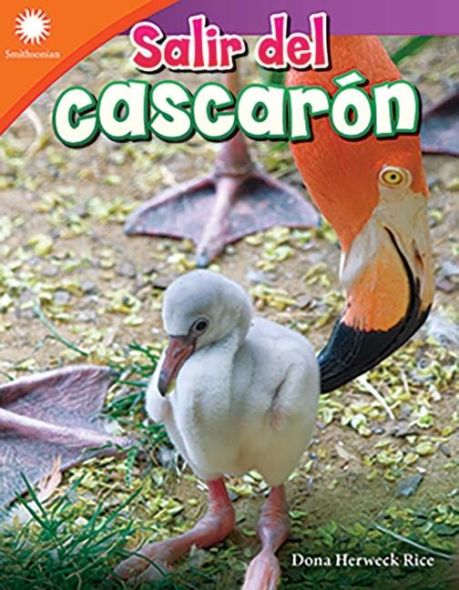 Vorderes Coverbild Salir del Cascarón