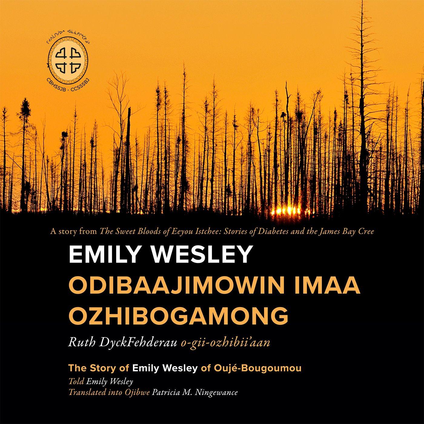 Vorderes Coverbild Emily Wesley Odibaajimowin Imaa Ozhibogamong