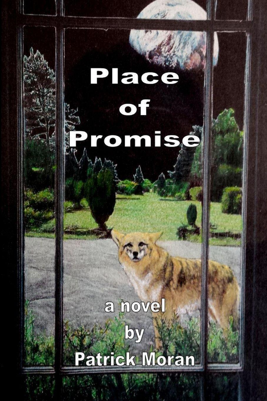 Vorderes Coverbild Place of Promise