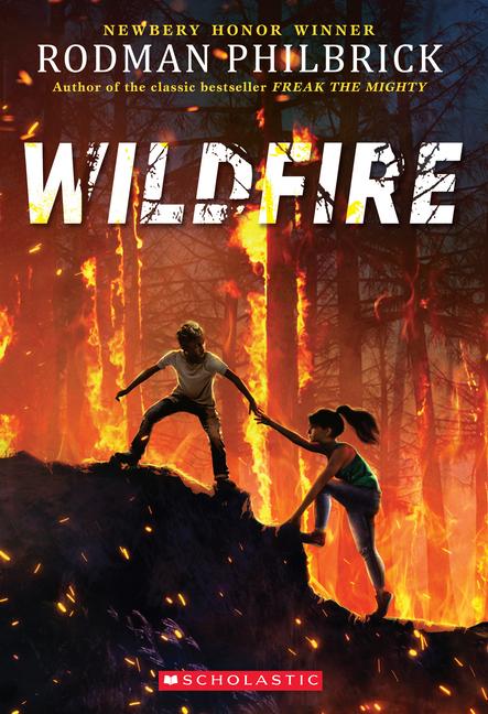 Vorderes Coverbild Wildfire (the Wild Series)