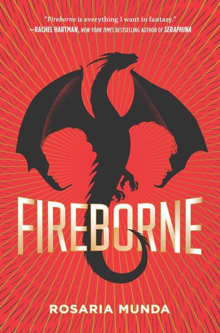 Vorderes Coverbild Fireborne