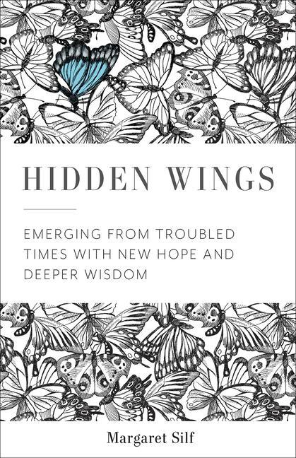 Vorderes Coverbild Hidden Wings