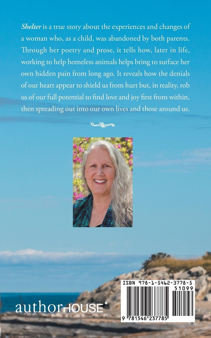 Rückseitencover Shelter