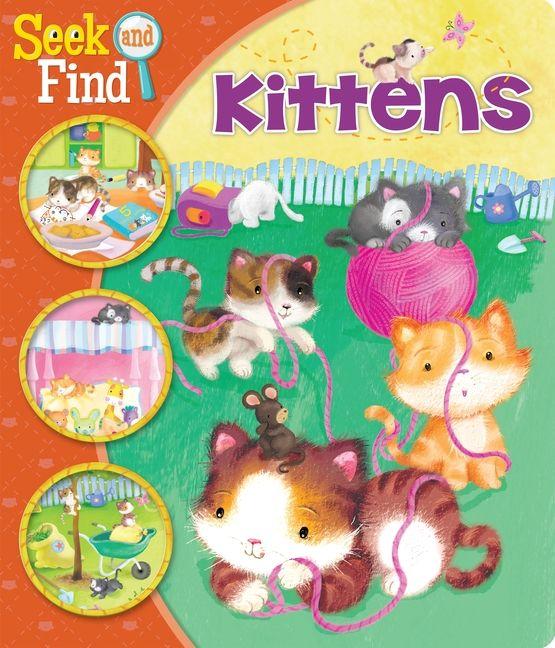 Vorderes Coverbild Seek and Find Kittens