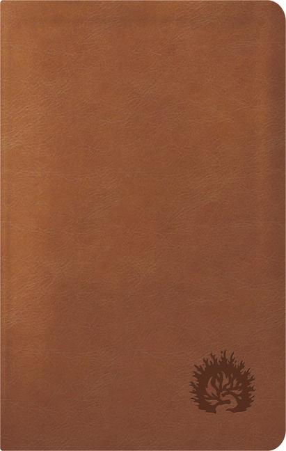 Vorderes Coverbild ESV Reformation Study Bible, Condensed Edition - Light Brown, Leather-Like