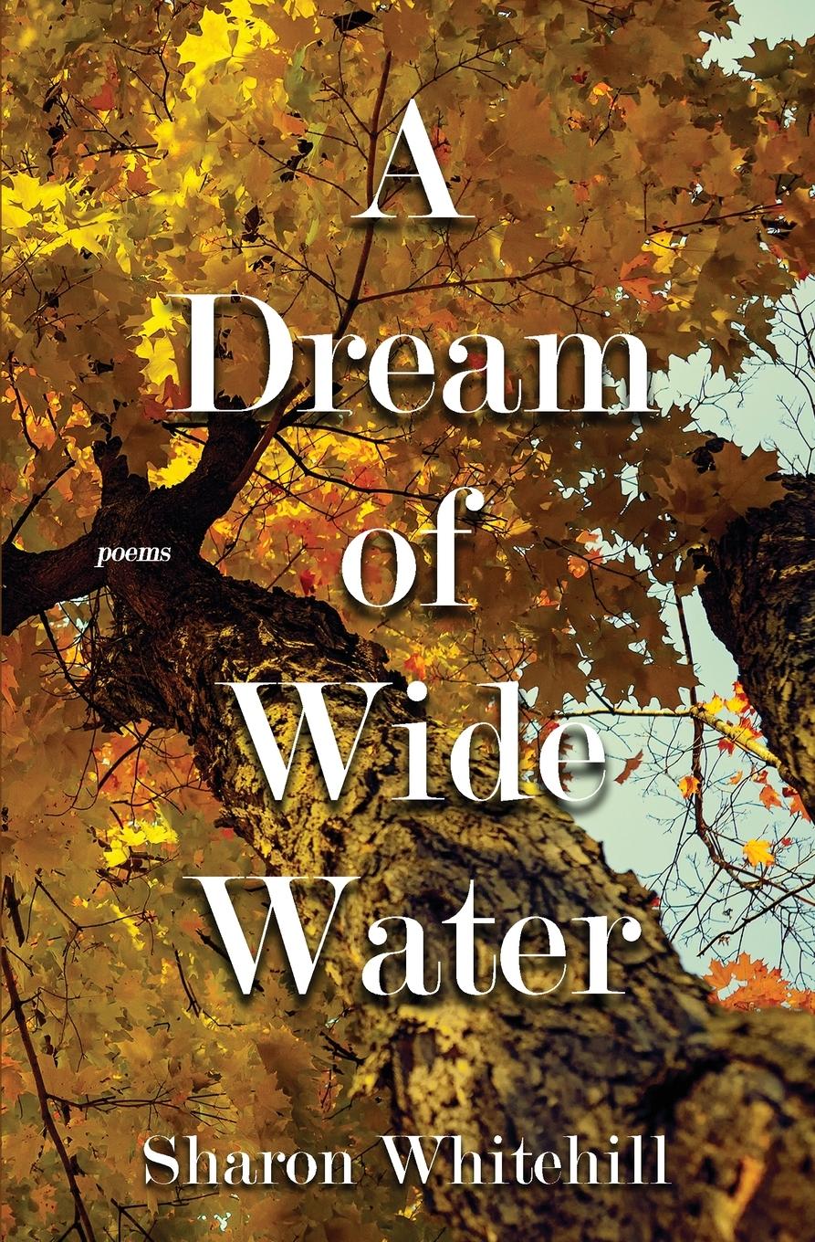 Vorderes Coverbild A Dream of Wide Water