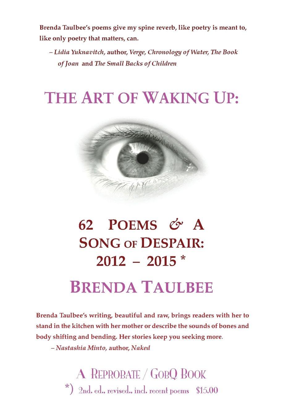 Vorderes Coverbild The Art of Waking Up