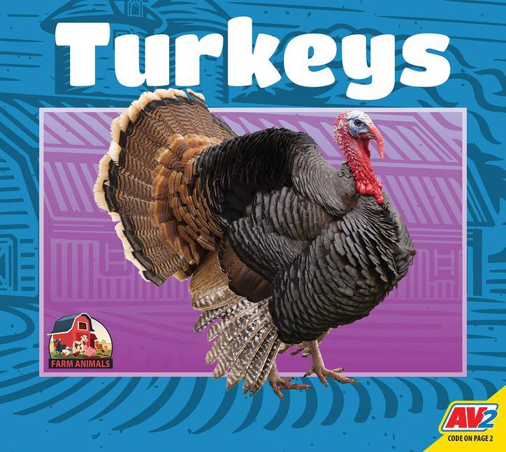 Vorderes Coverbild Turkeys