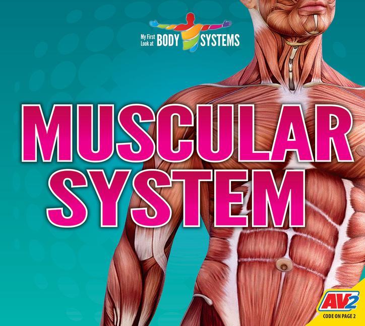Vorderes Coverbild Muscular System