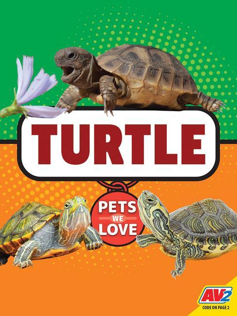 Vorderes Coverbild Turtle