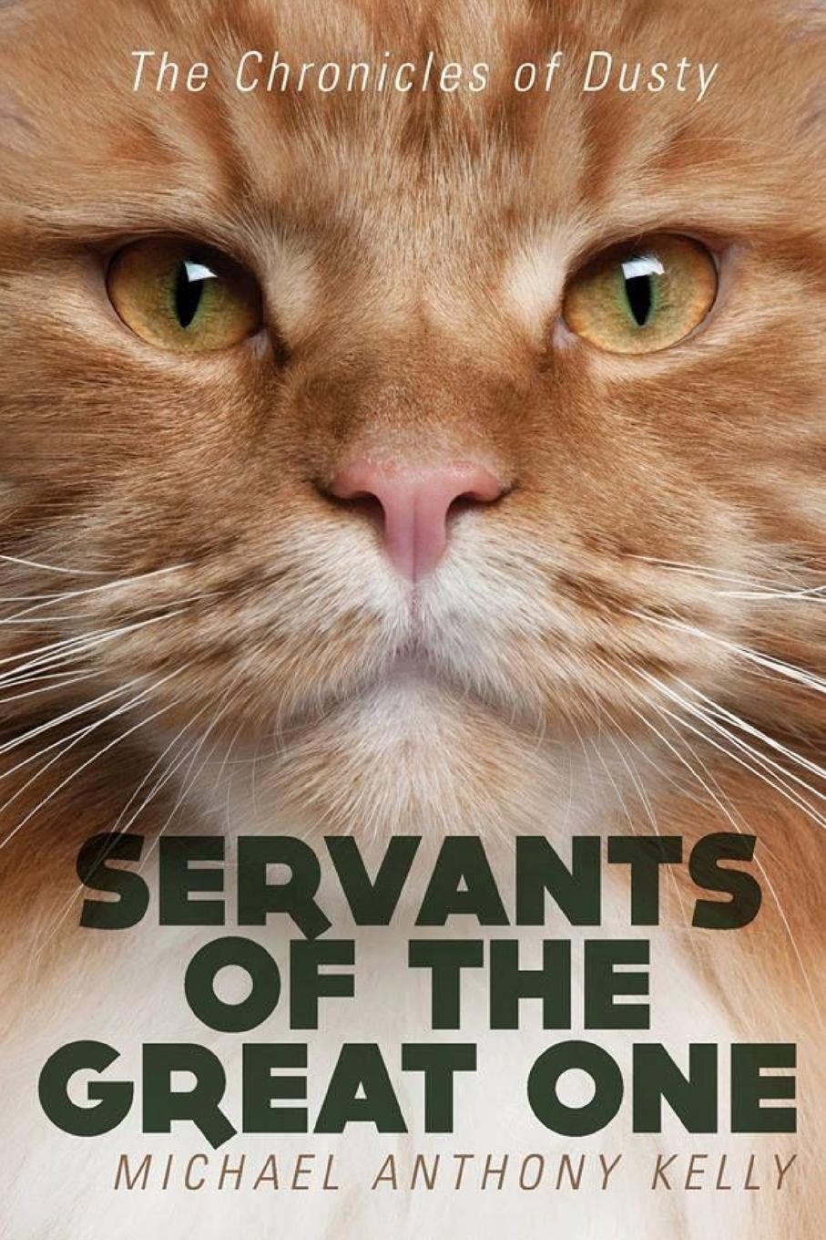 Vorderes Coverbild Servants of the Great One