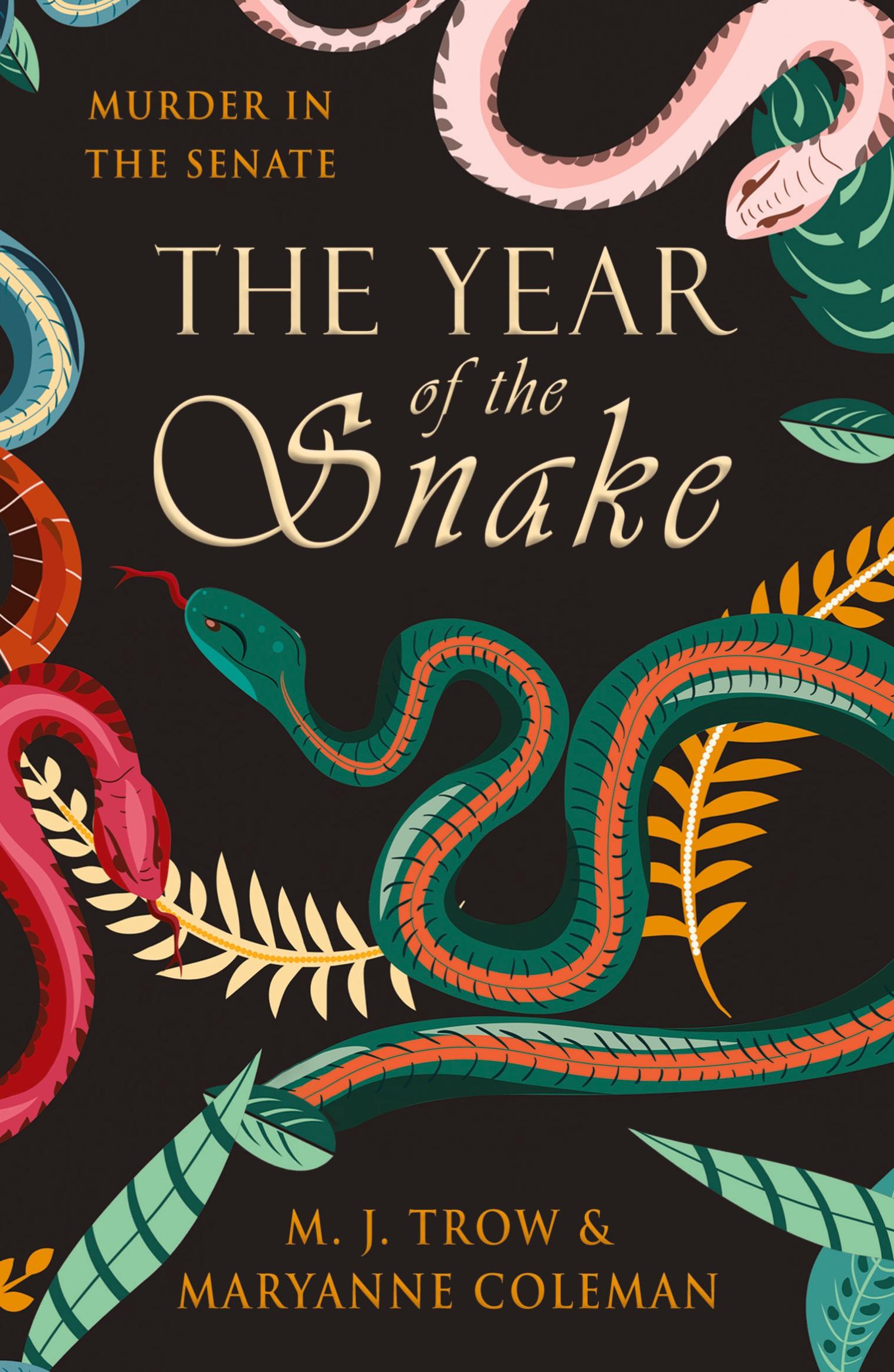 Vorderes Coverbild The Year of the Snake