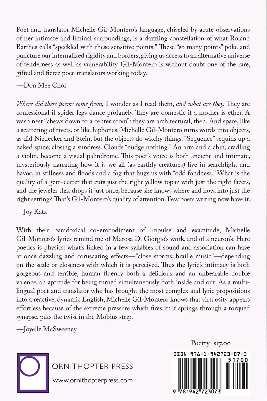 Rückseitencover Object Permanence