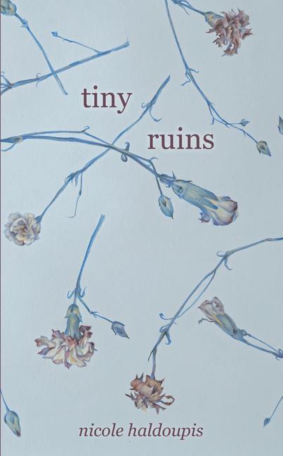 Vorderes Coverbild Tiny Ruins