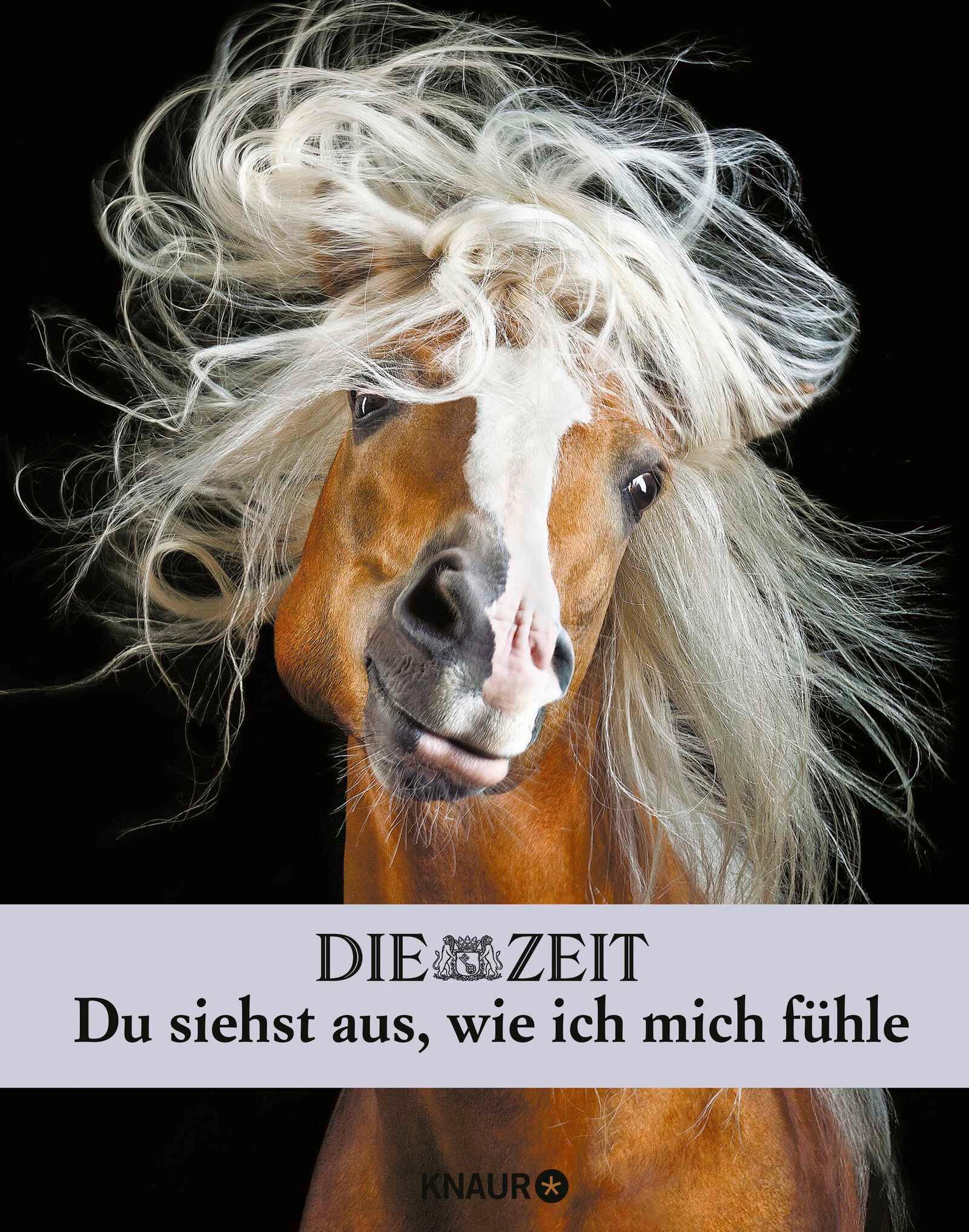 Vorderes Coverbild Die Zeit. Du siehst aus, wie ich mich fühle