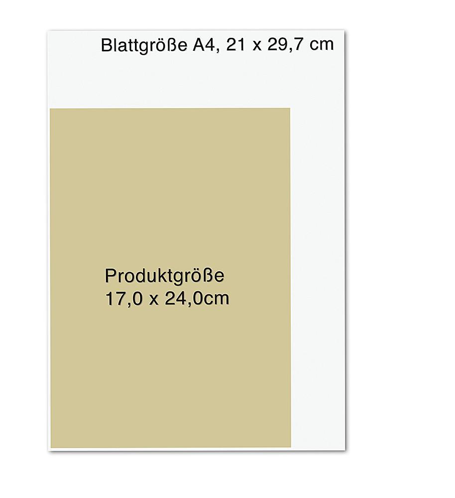 Beispielinhalt (Bild) 7 Minuten am Tag
