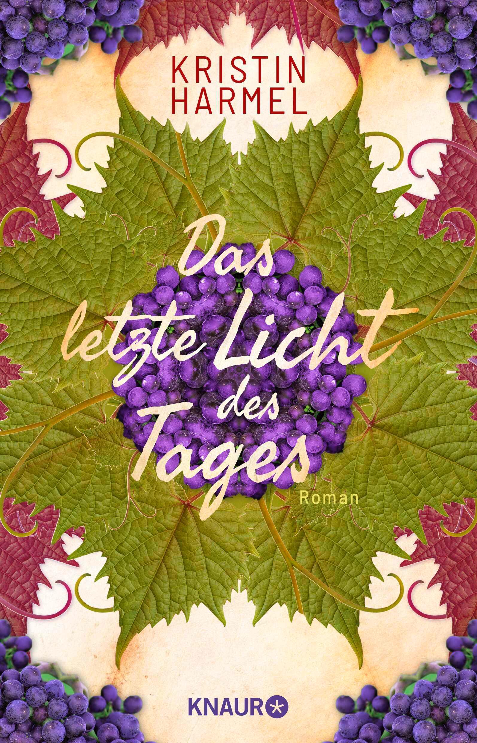 Vorderes Coverbild Das letzte Licht des Tages