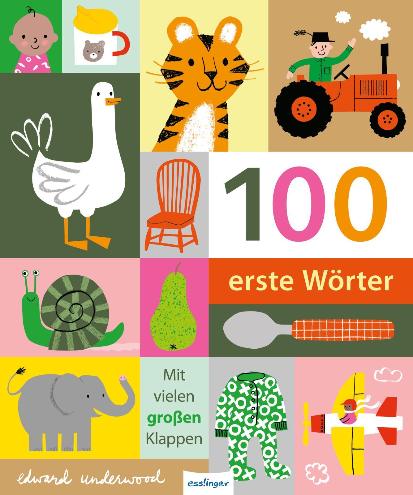 Vorderes Coverbild 100 erste Wörter