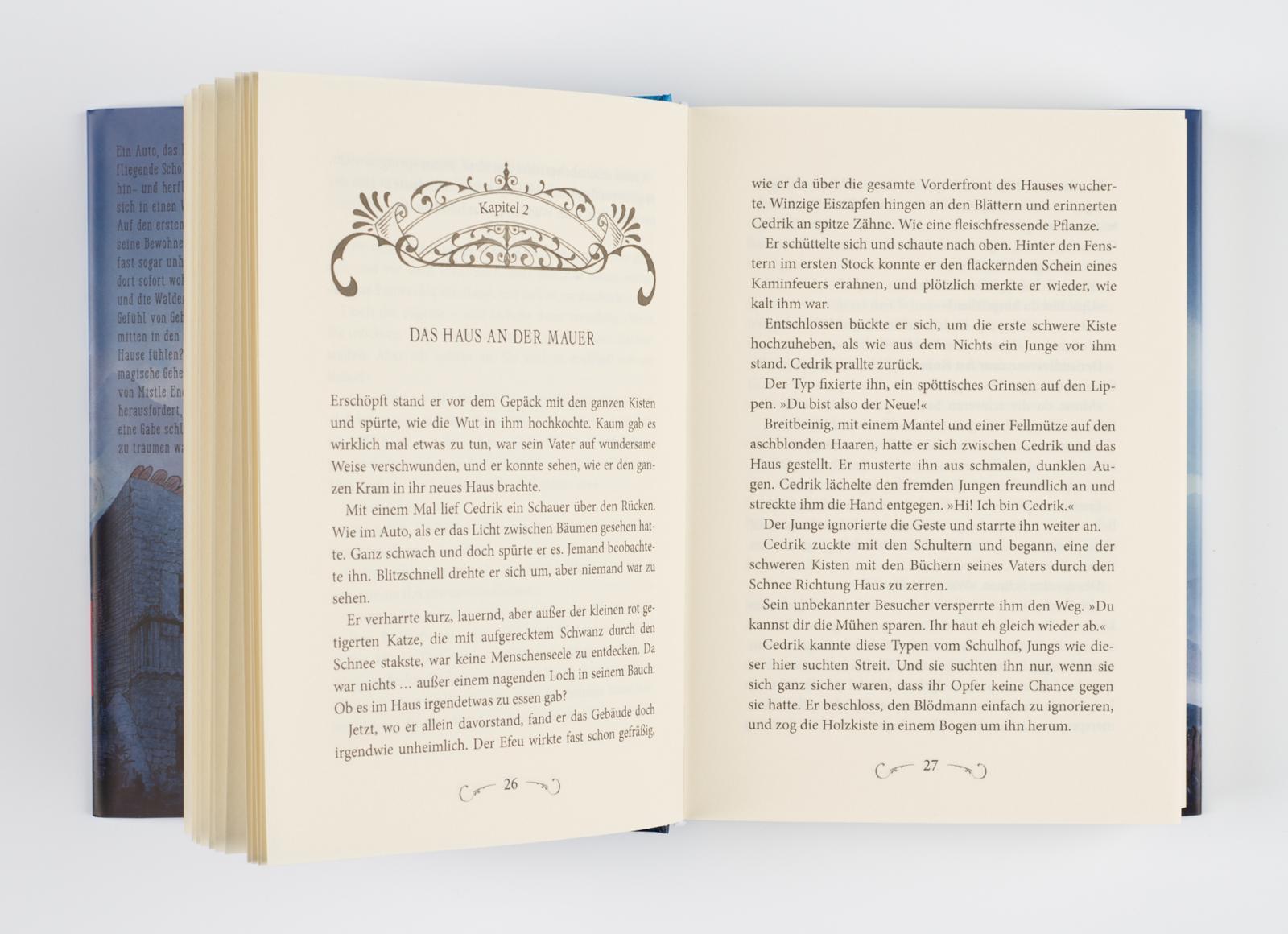 Beispielinhalt (Bild) Die Chroniken von Mistle End 1: Der Greif erwacht