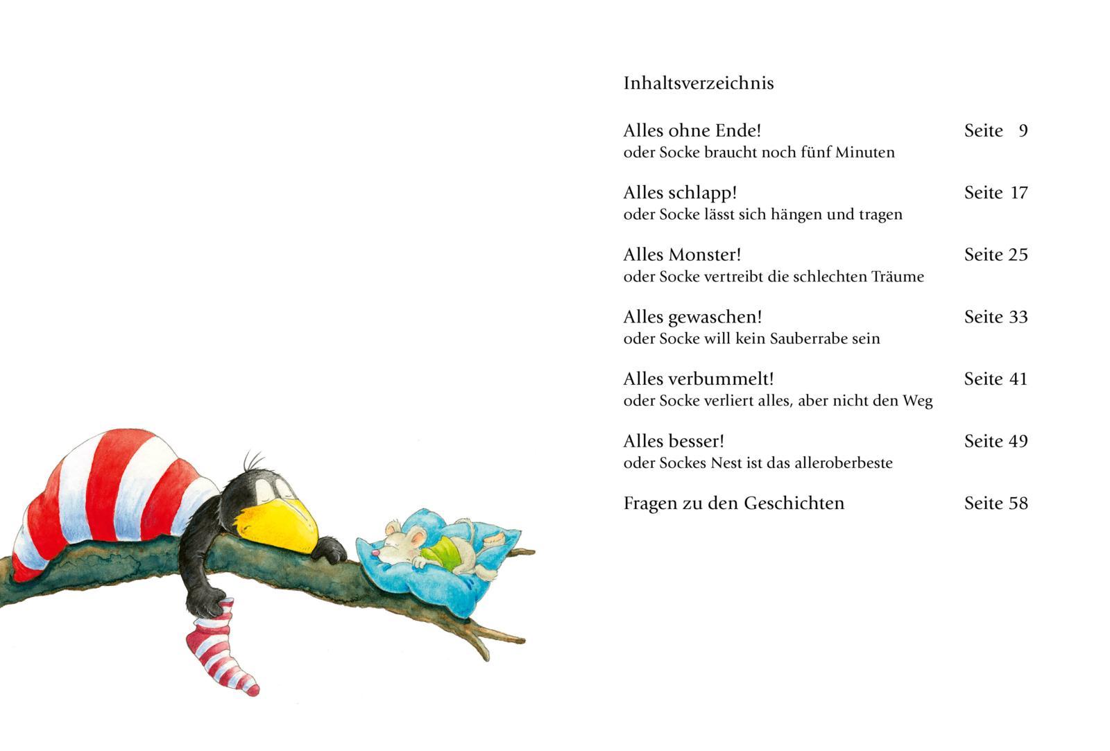 Beispielinhalt (Bild) Der kleine Rabe Socke: Alles schläft?