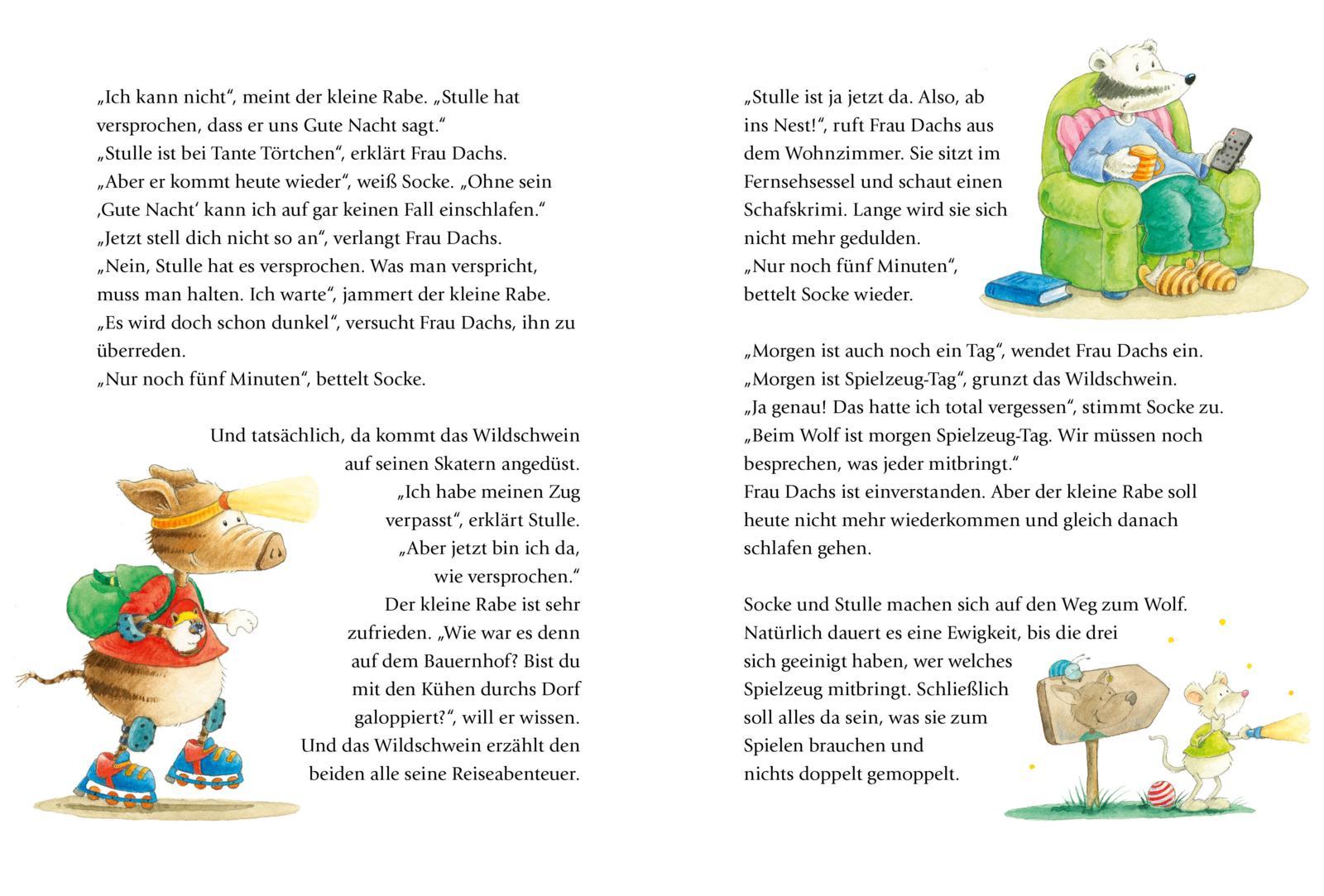 Beispielinhalt (Bild) Der kleine Rabe Socke: Alles schläft?