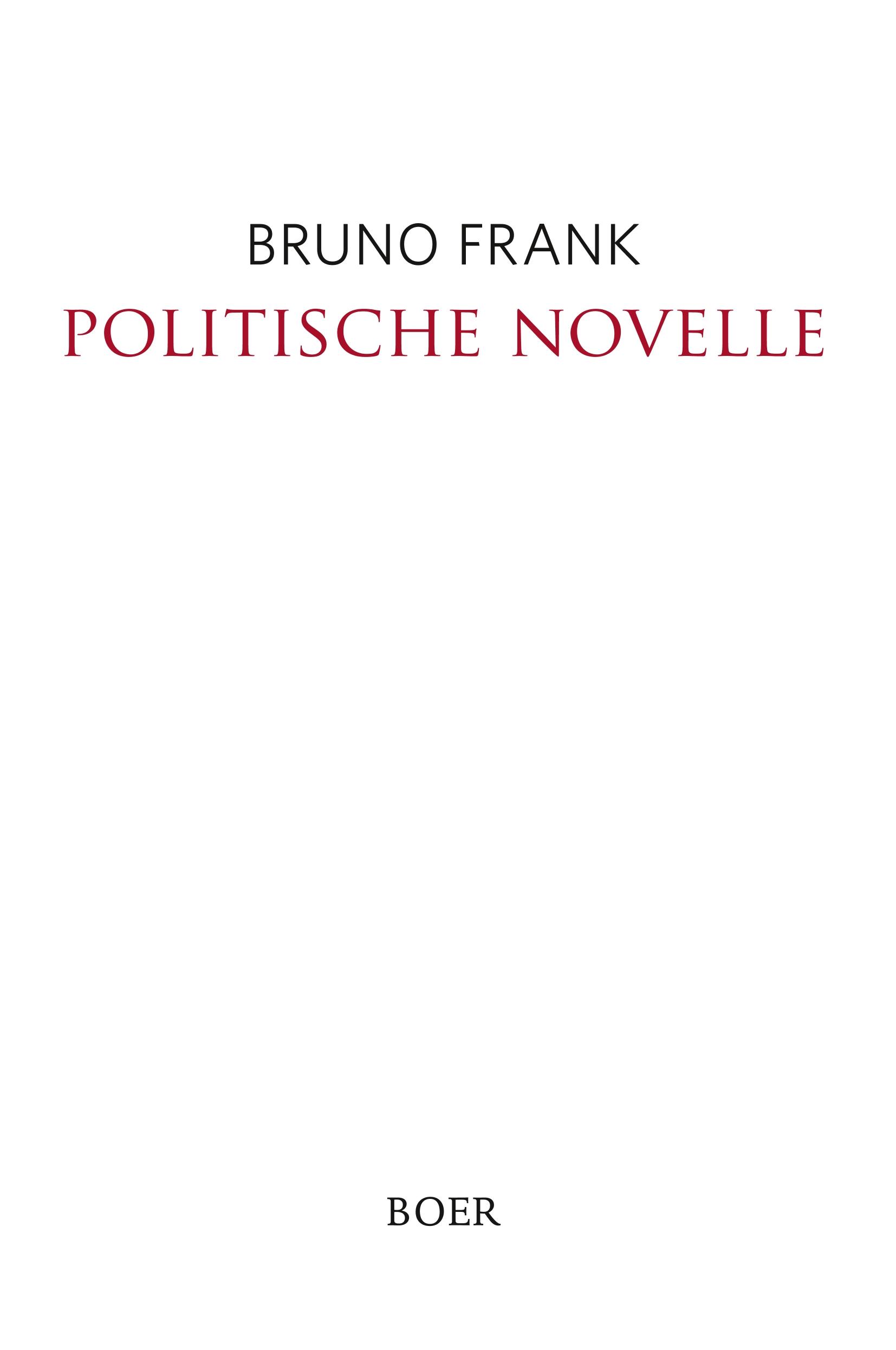 Vorderes Coverbild Politische Novelle