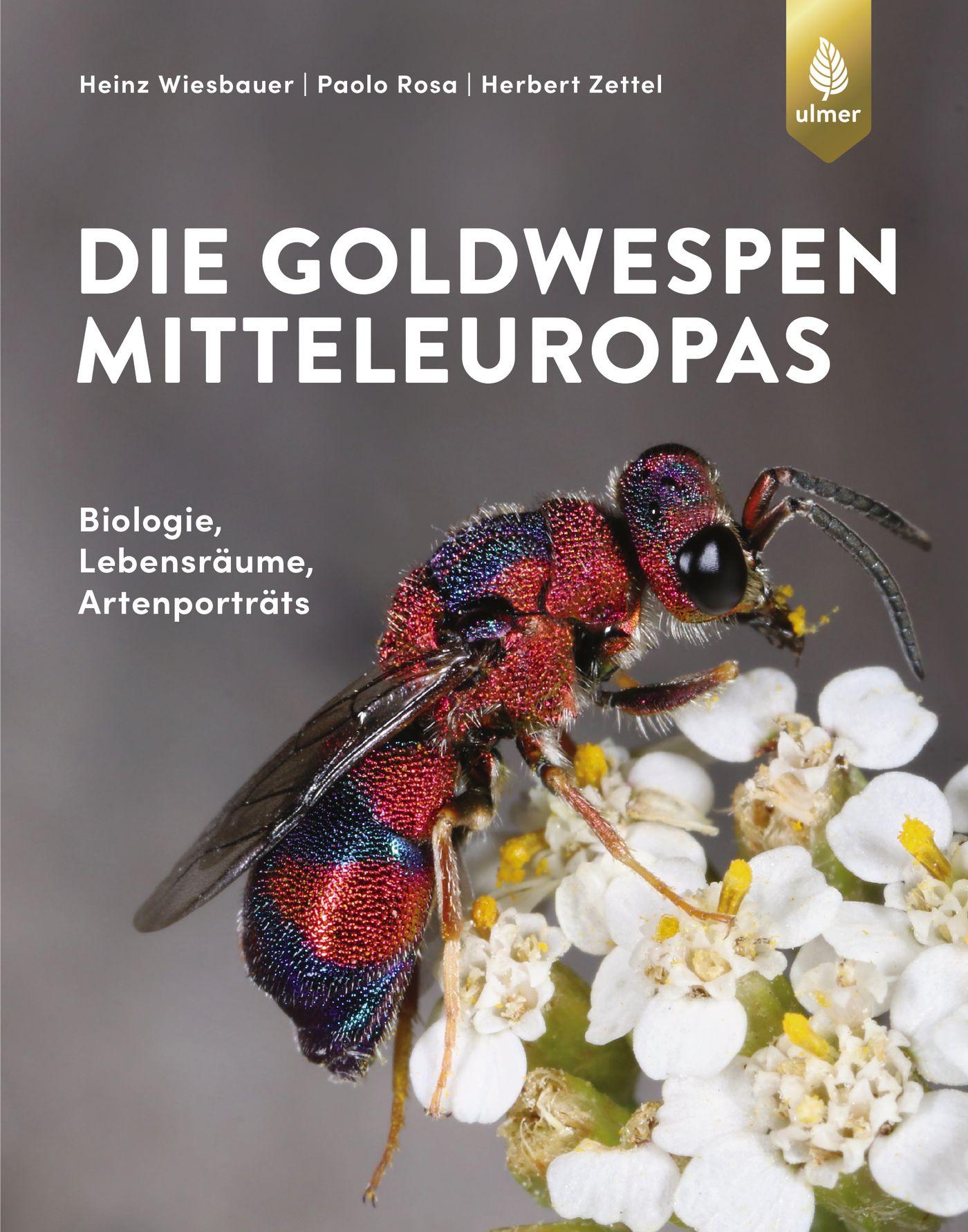 Vorderes Coverbild Die Goldwespen Mitteleuropas