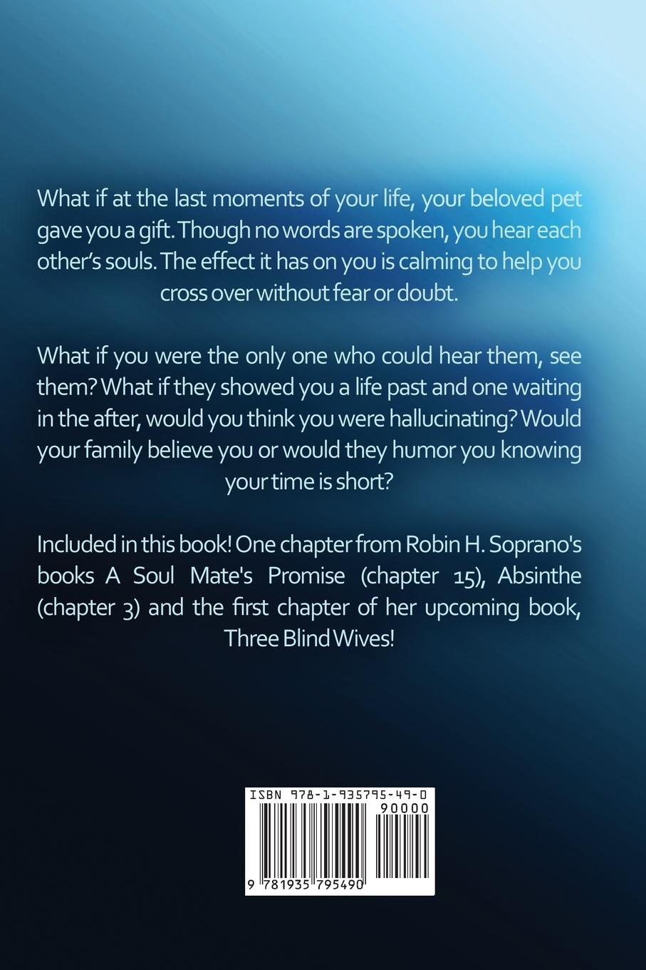 Rückseitencover Gypsy's Gift