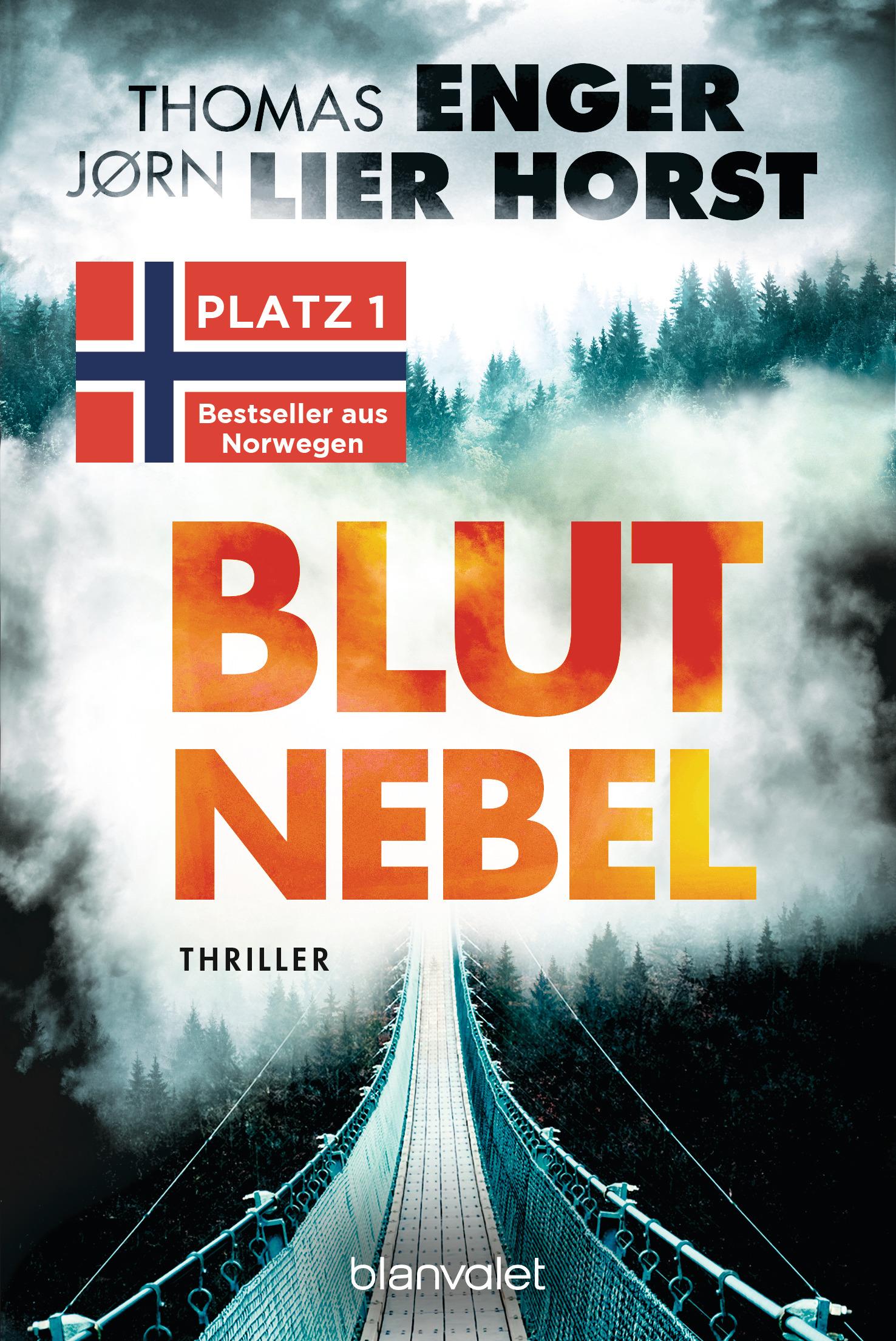 Vorderes Coverbild Blutnebel