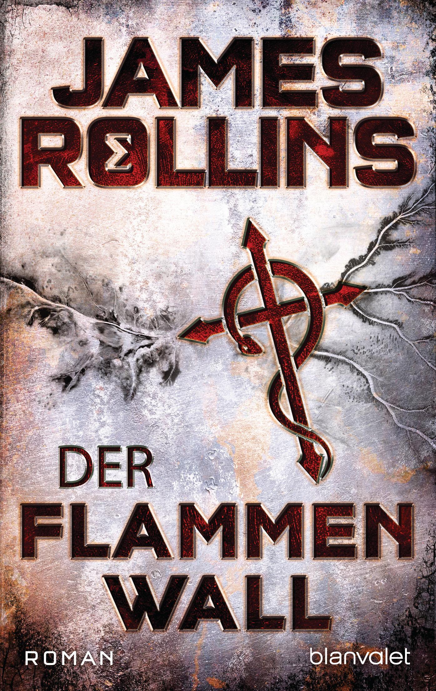 Vorderes Coverbild Der Flammenwall