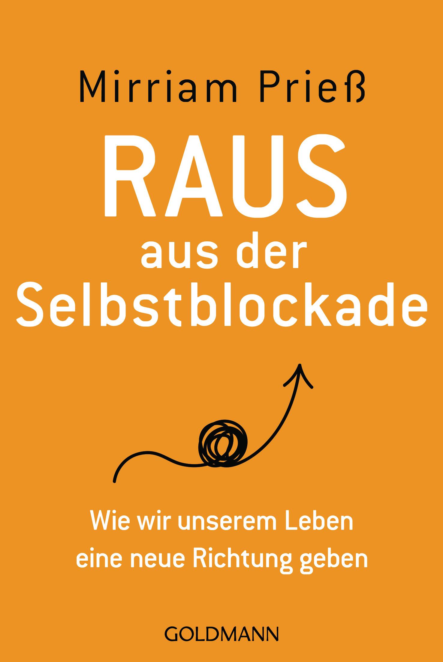 Vorderes Coverbild Raus aus der Selbstblockade