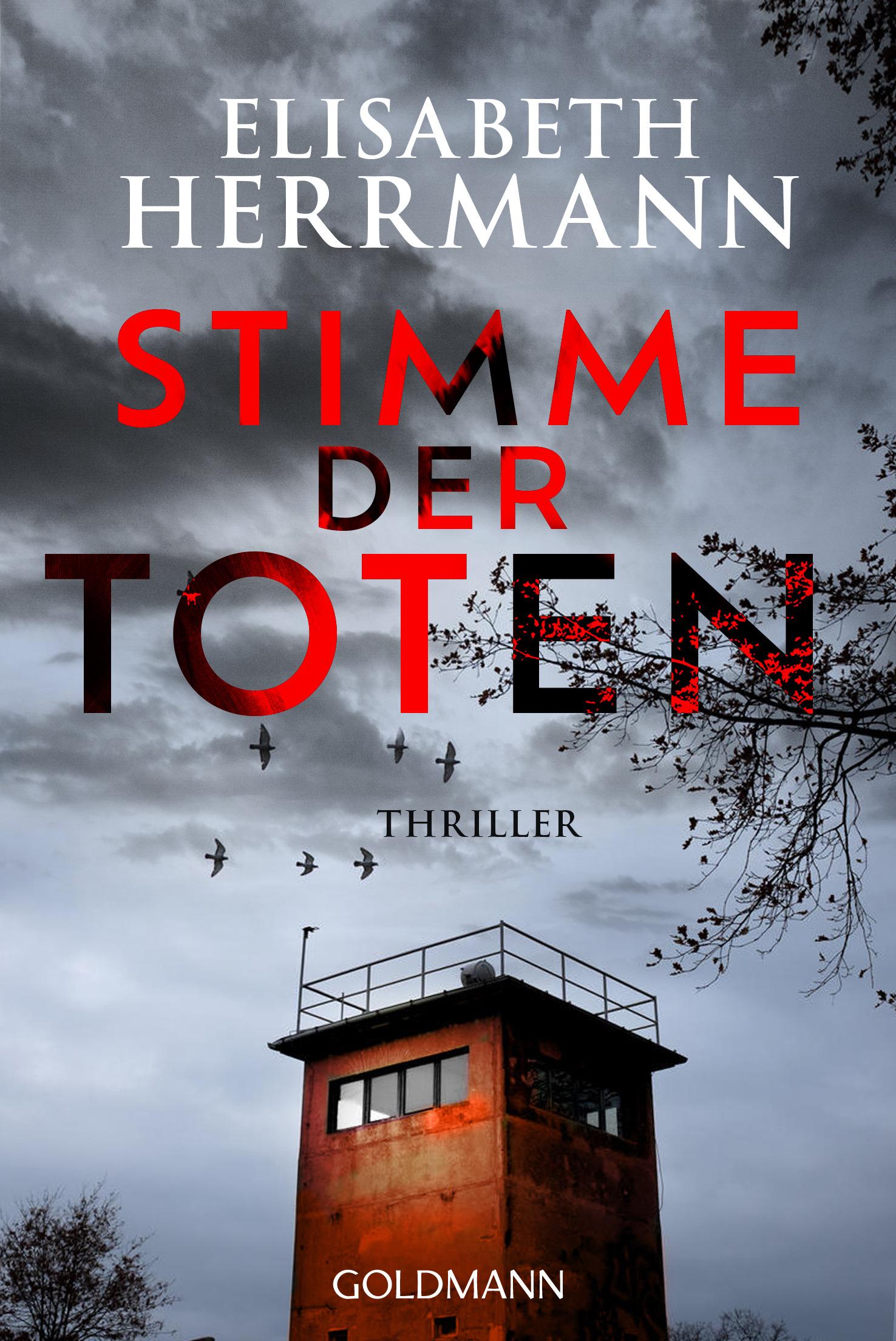 Vorderes Coverbild Stimme der Toten