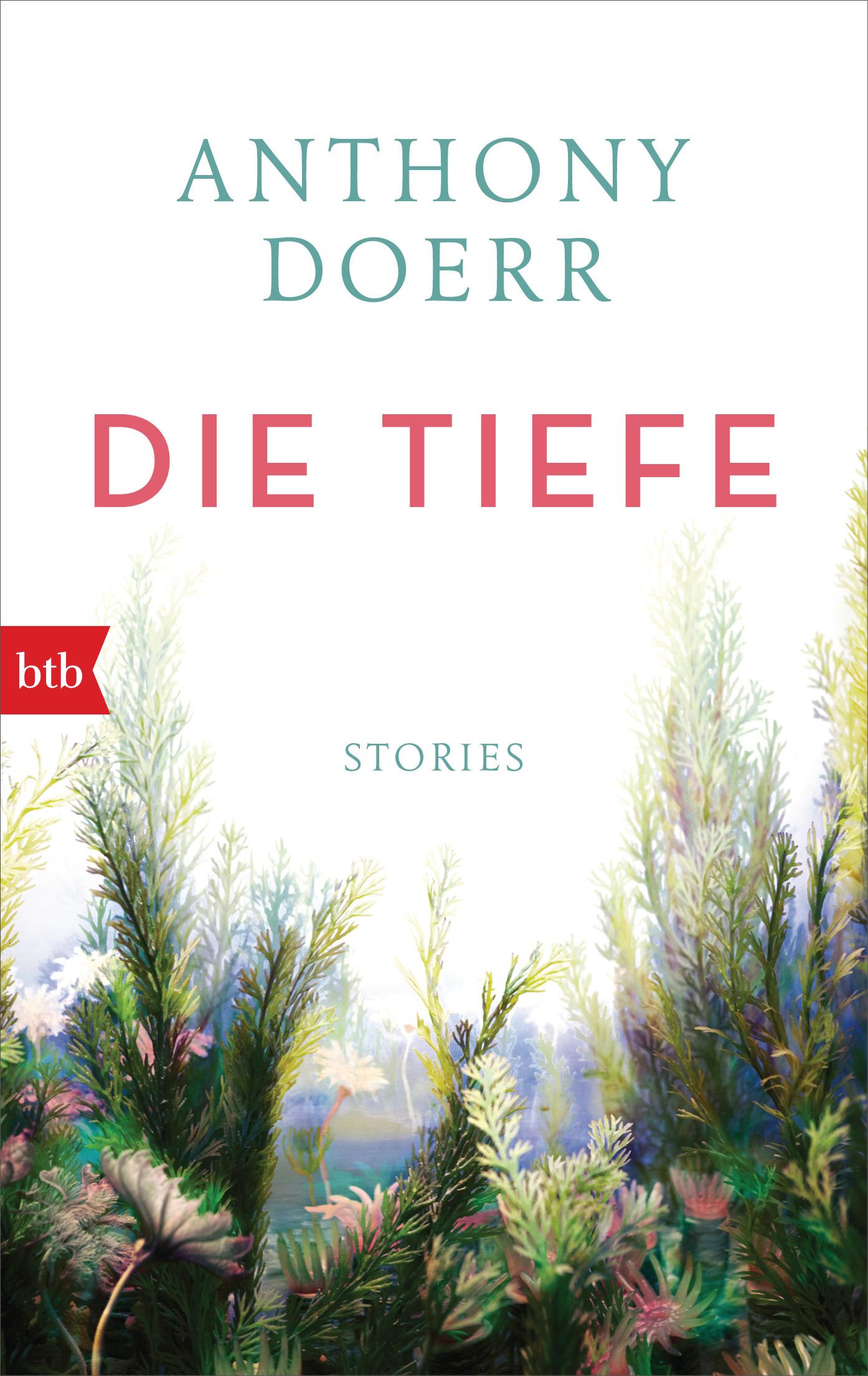 Vorderes Coverbild Die Tiefe