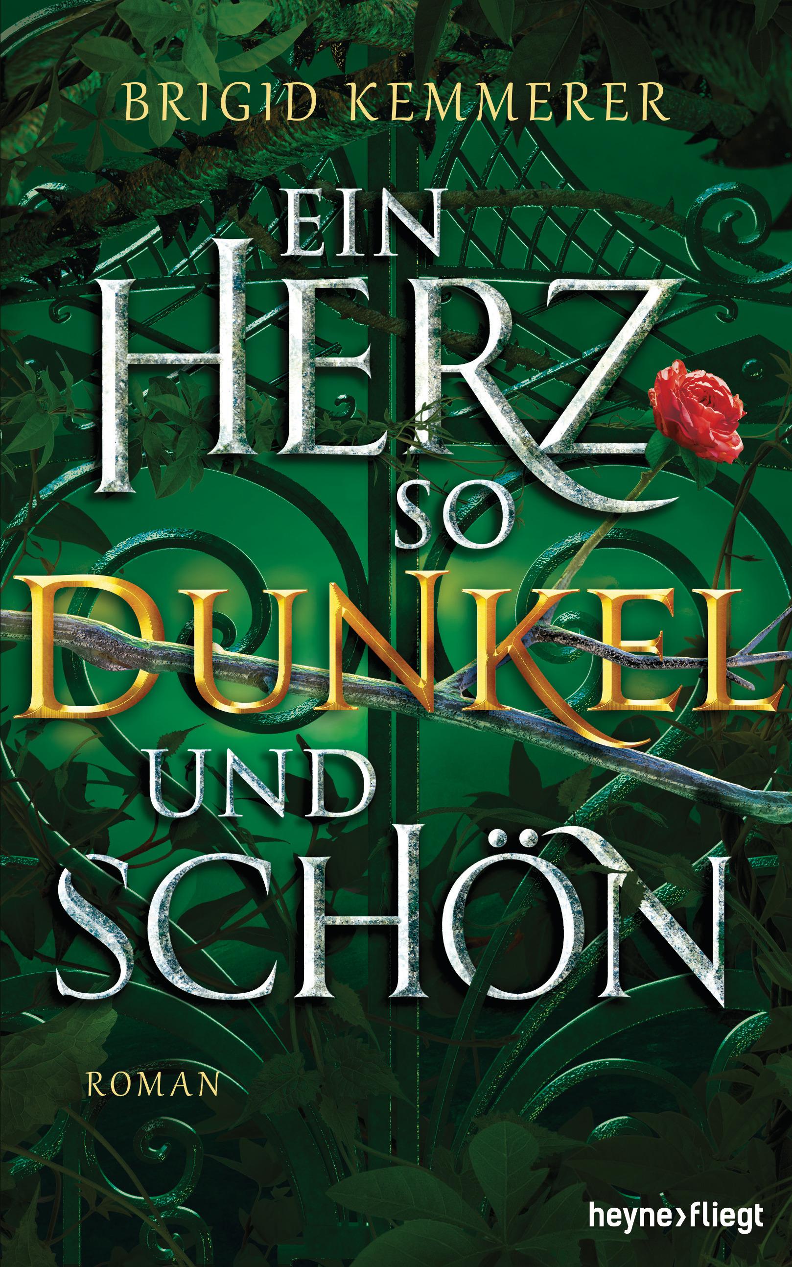 Vorderes Coverbild Ein Herz so dunkel und schön