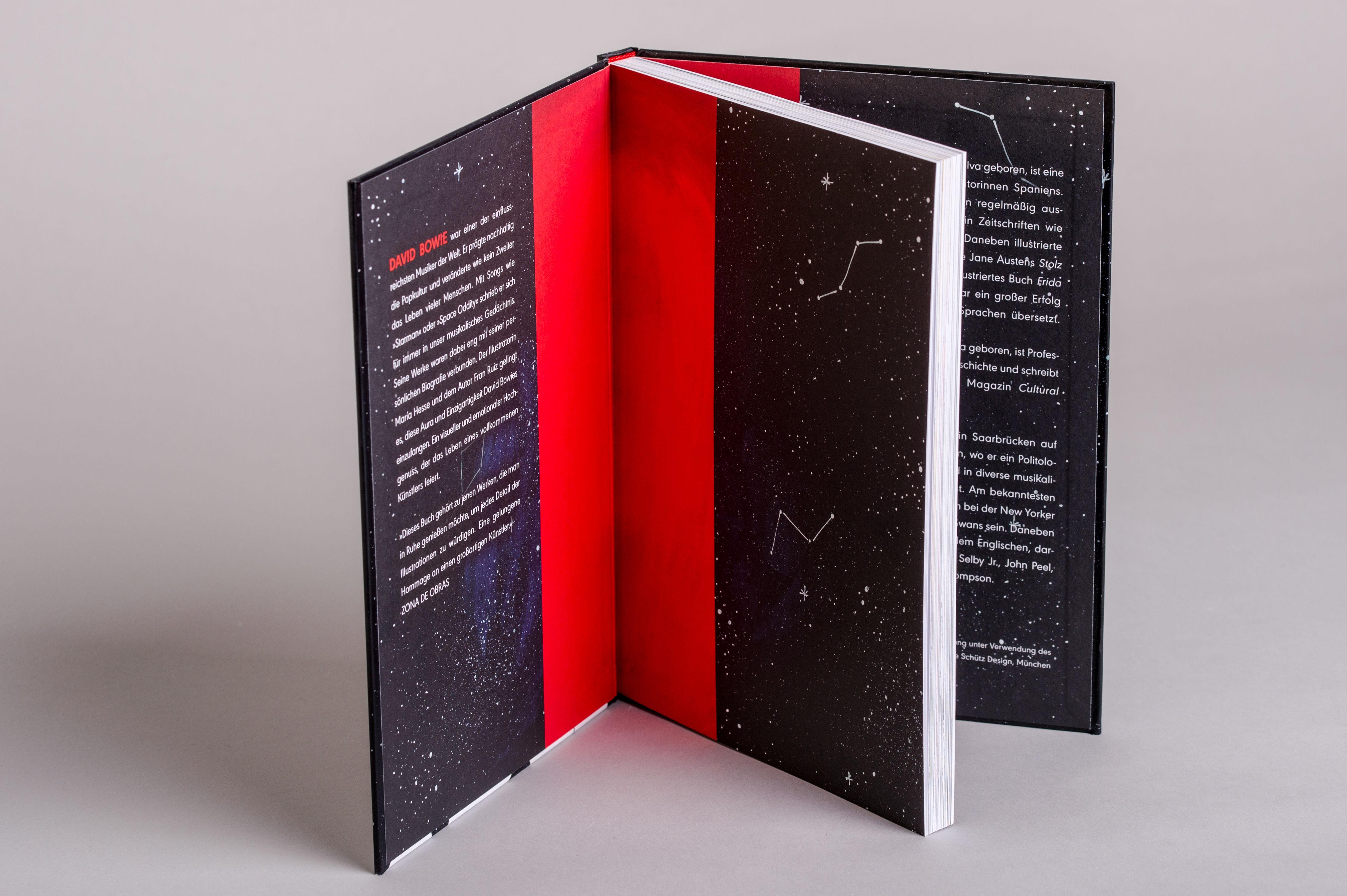 Beispielinhalt (Bild) Bowie