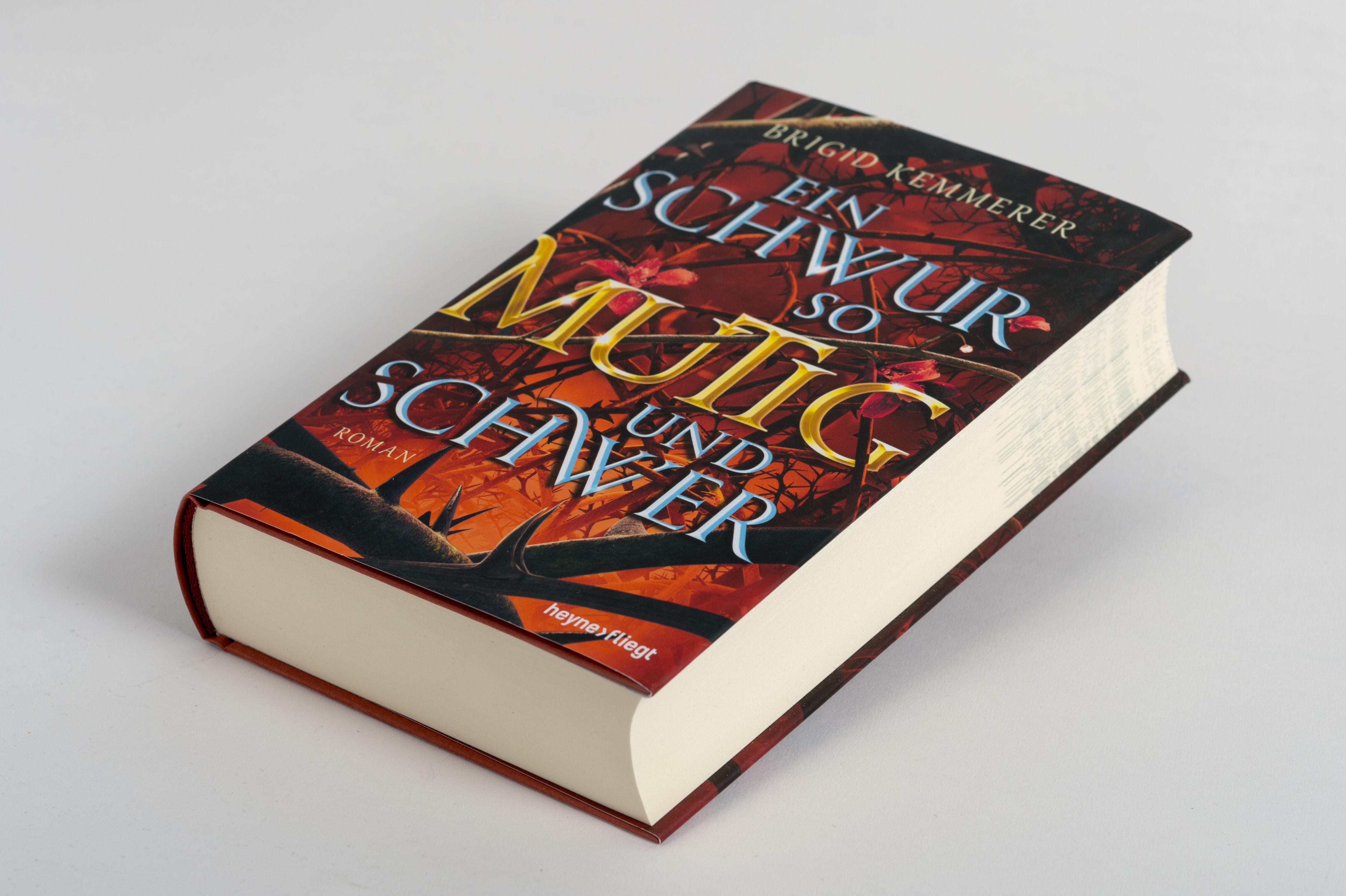 Beispielinhalt (Bild) Ein Schwur so mutig und schwer