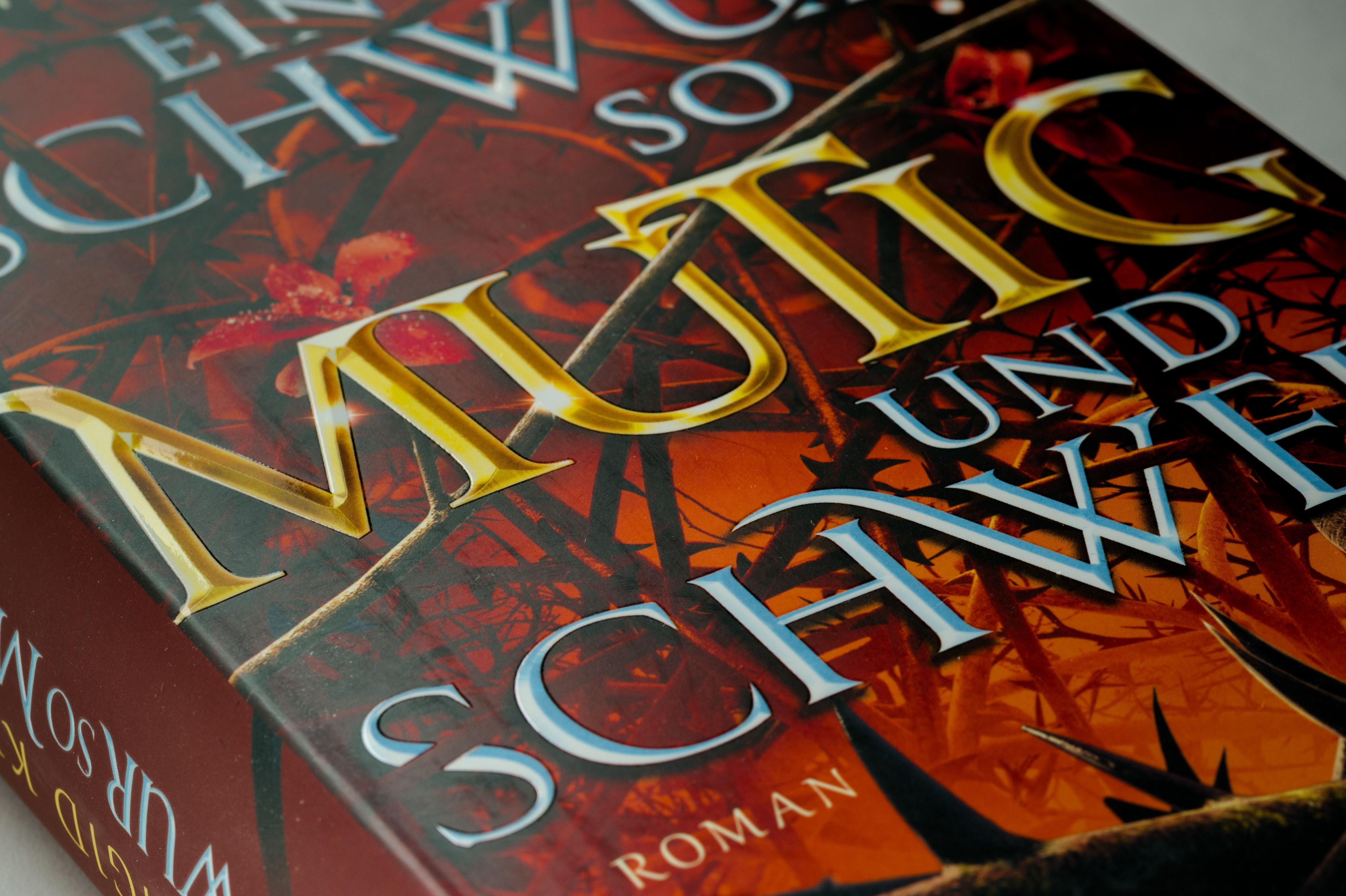 Beispielinhalt (Bild) Ein Schwur so mutig und schwer